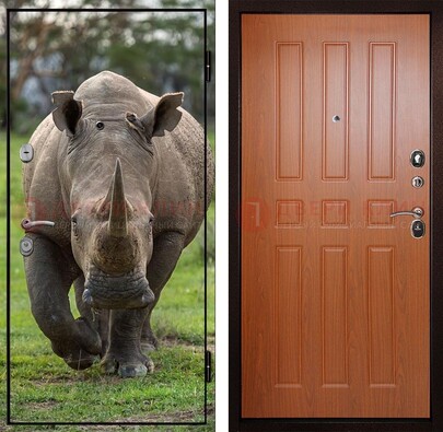 Металлическая дверь с фотопечатью носорога ДФ-31 в Наро-Фоминске