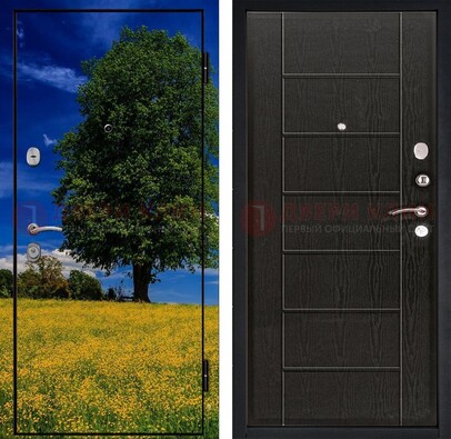 Железная дверь с фотопечатью дерева в поле ДФ-36 в Наро-Фоминске