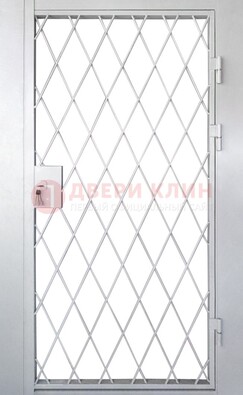 Стальная решетчатая дверь ДР-13 в Наро-Фоминске